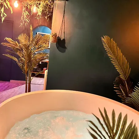 L'amazonia - Private Boulogne-sur-Mer