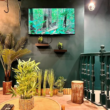 L'amazonia - Private * Boulogne-sur-Mer