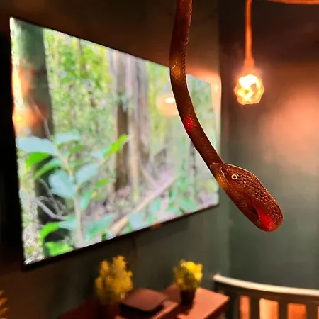 L'amazonia - Private Appartement