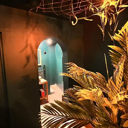 L'amazonia - Private * Boulogne-sur-Mer